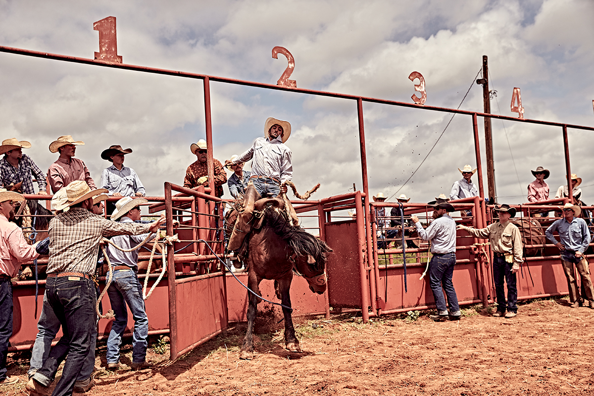 DickensBronc_763